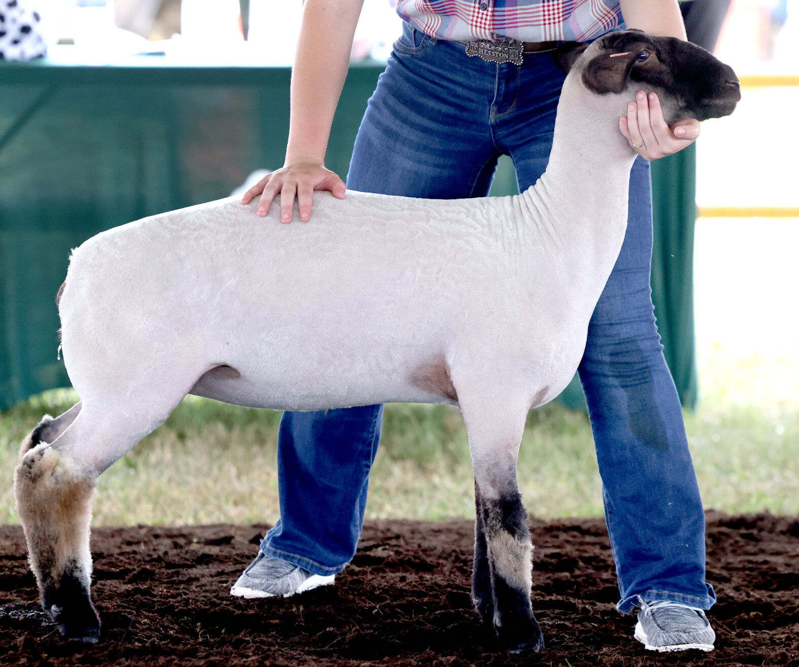 4-H Youth 6 .JPG